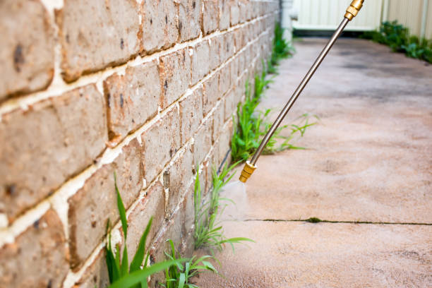 Indoor Pest Control in Lovell, WY